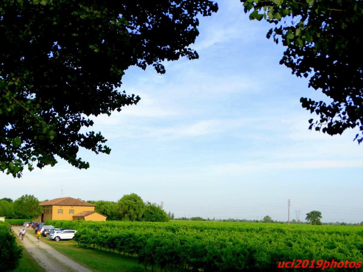 Agriturismo Vitae Fabbrico Bagian luar foto